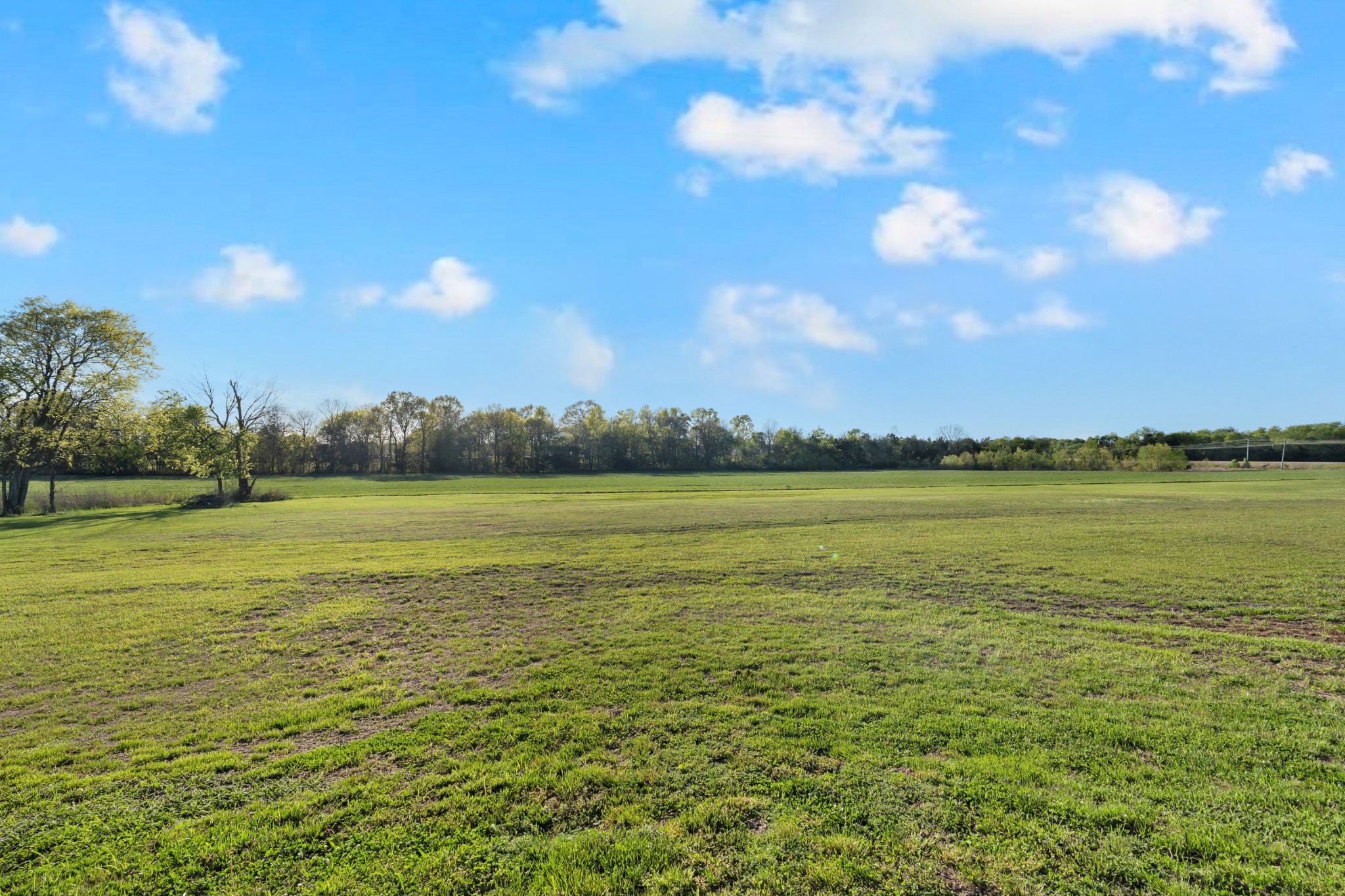 110 Buzzard Roost Road Chapel Hill, TN 37034 - Photo 7 of 30