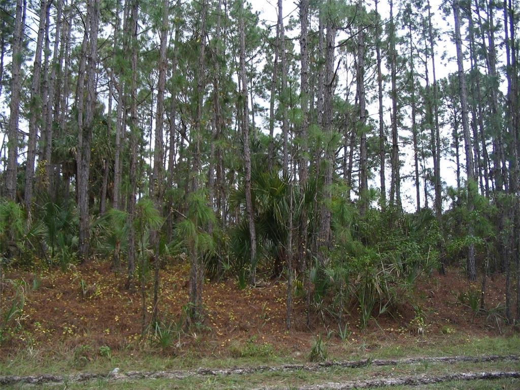 31 Duluth Terrace North Port, FL 34286 - Photo 1 of 1
