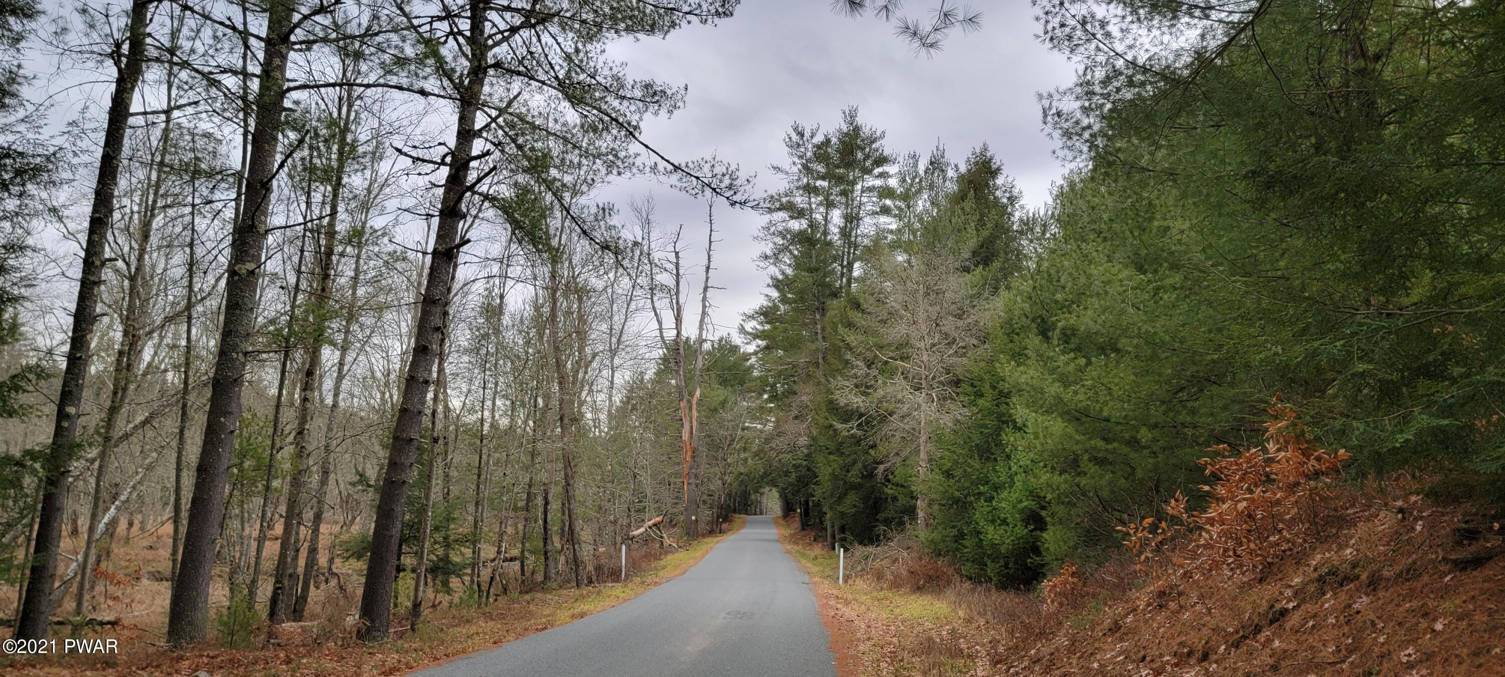 Lot 43 Swamp Pond Road Narrowsburg, NY 12764 - Photo 4 of 13