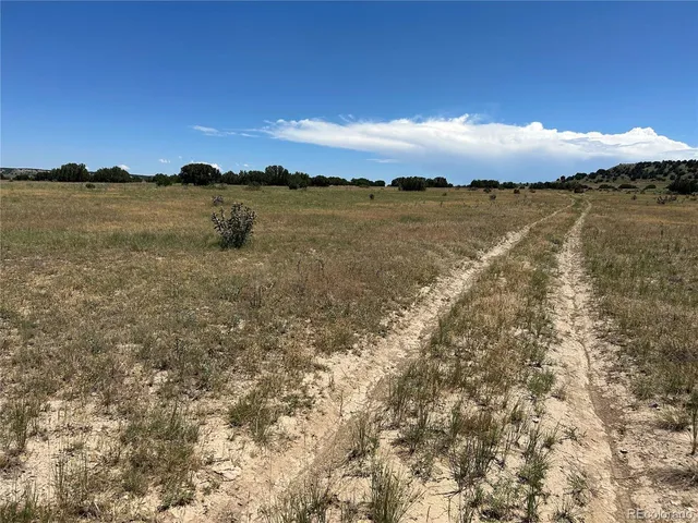 $29,999 | 17 Longhorn Ranch, Model, CO 81059