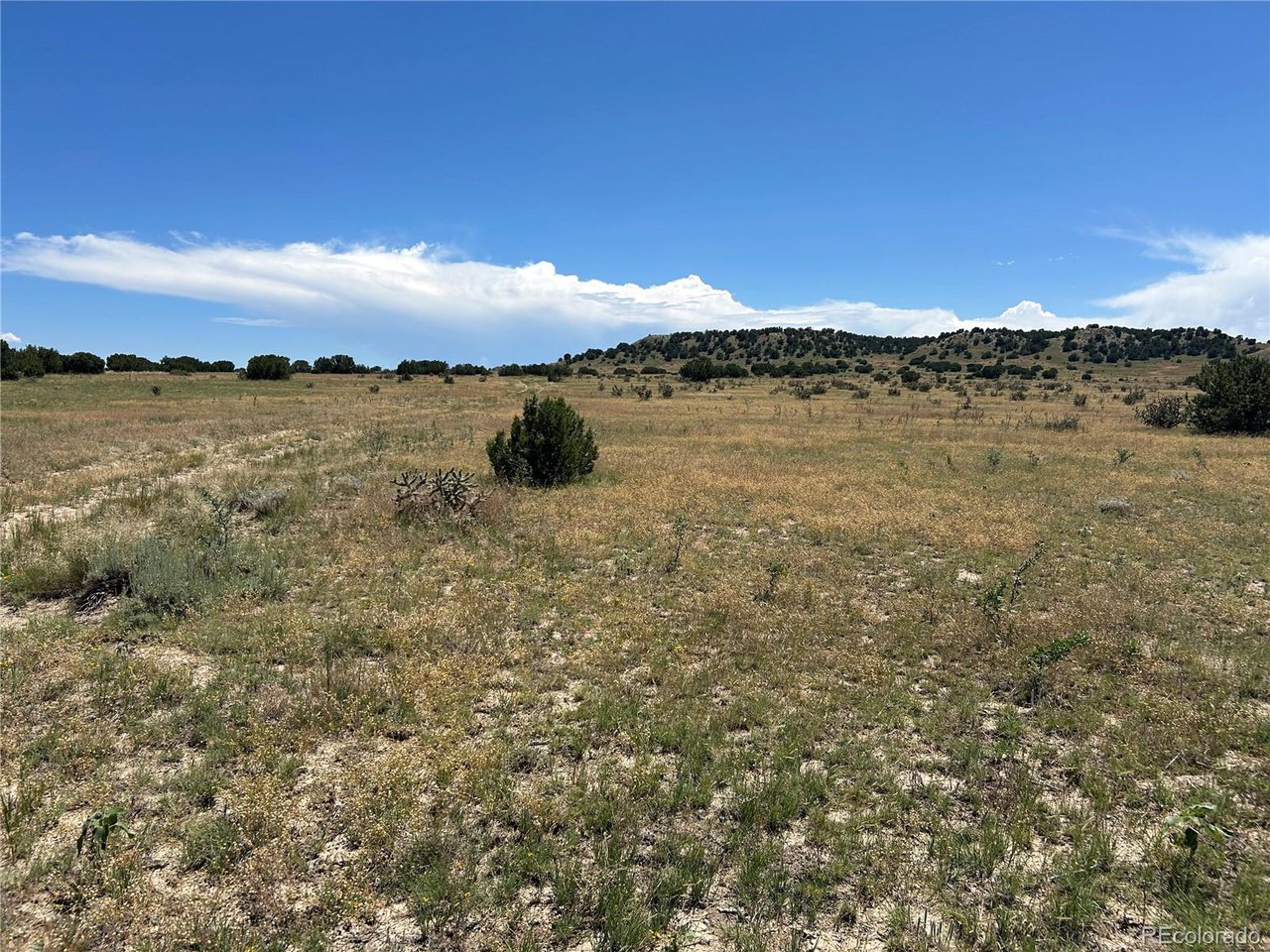 17 Longhorn Ranch Model, CO 81059 - Photo 11 of 13