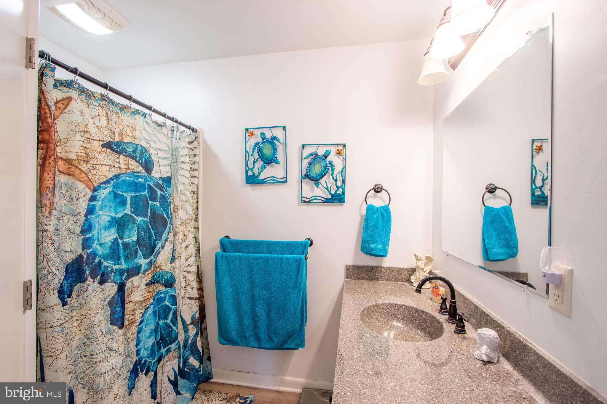 24775 Langford Road Chestertown, MD 21620 - Photo 27 of 37 Full Bathroom