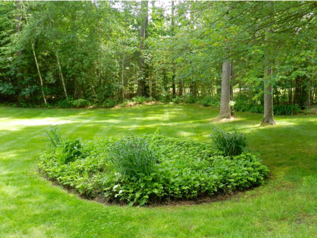 54 Litchfield Road Londonderry, NH 03053 - Photo 10 of 35