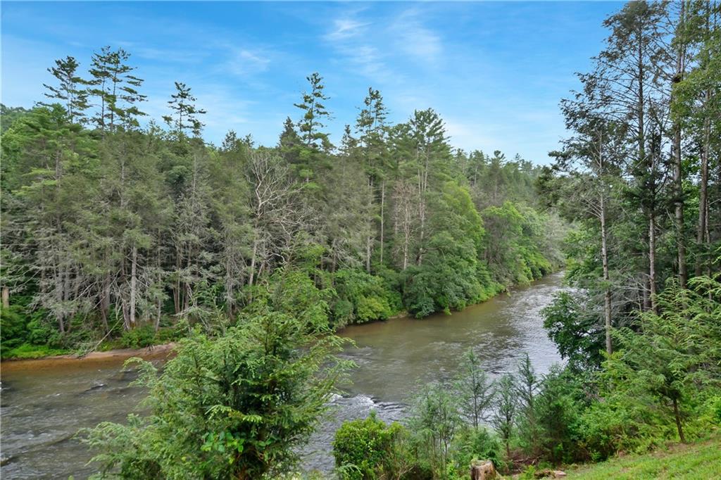 152 Broken Arrow Path Blue Ridge, GA 30513 - Photo 45 of 50 a view of a lush green forest with lots of trees