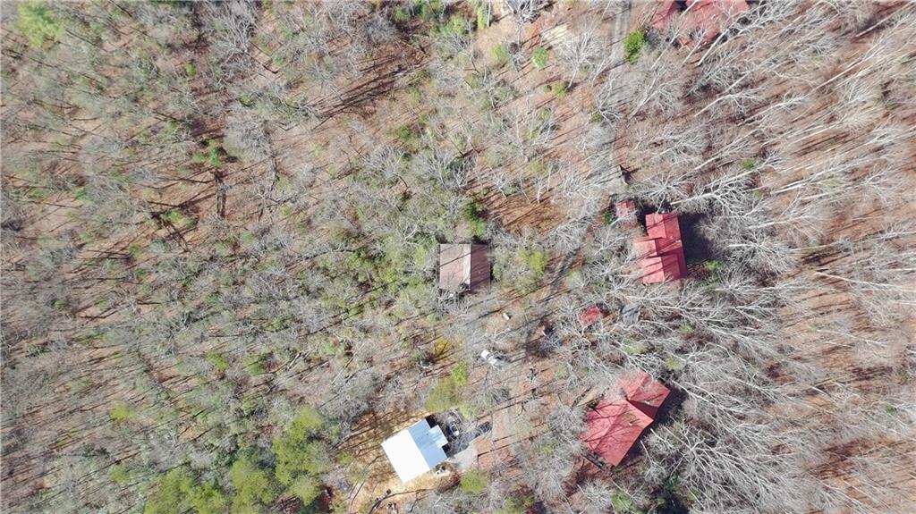 152 Broken Arrow Path Blue Ridge, GA 30513 - Photo 49 of 50