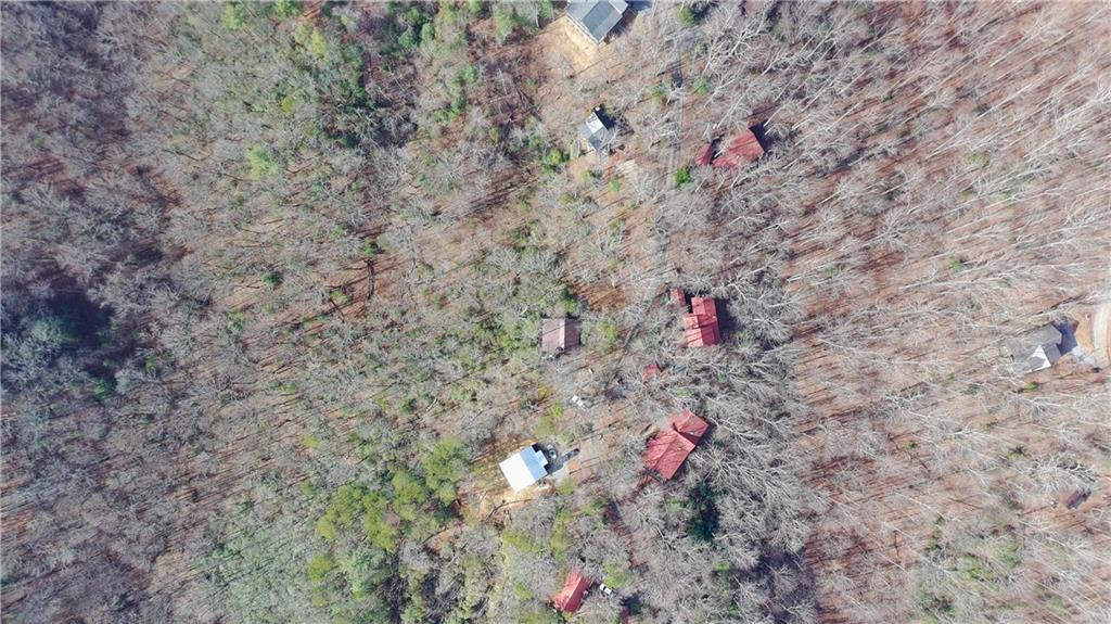 152 Broken Arrow Path Blue Ridge, GA 30513 - Photo 50 of 50 a close up of a tree