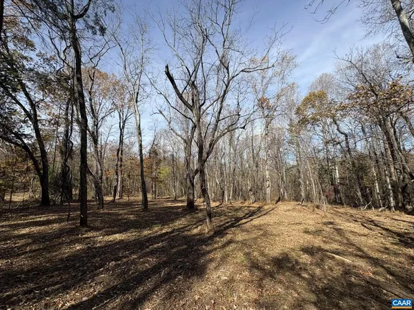 a view of road and trees