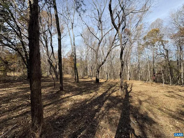 a view of a yard with trees