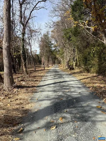 a view of park on side of street