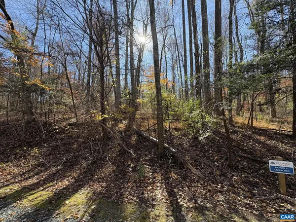 a view of outdoor space and garden