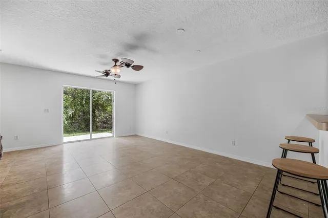 a view of a garden with plants