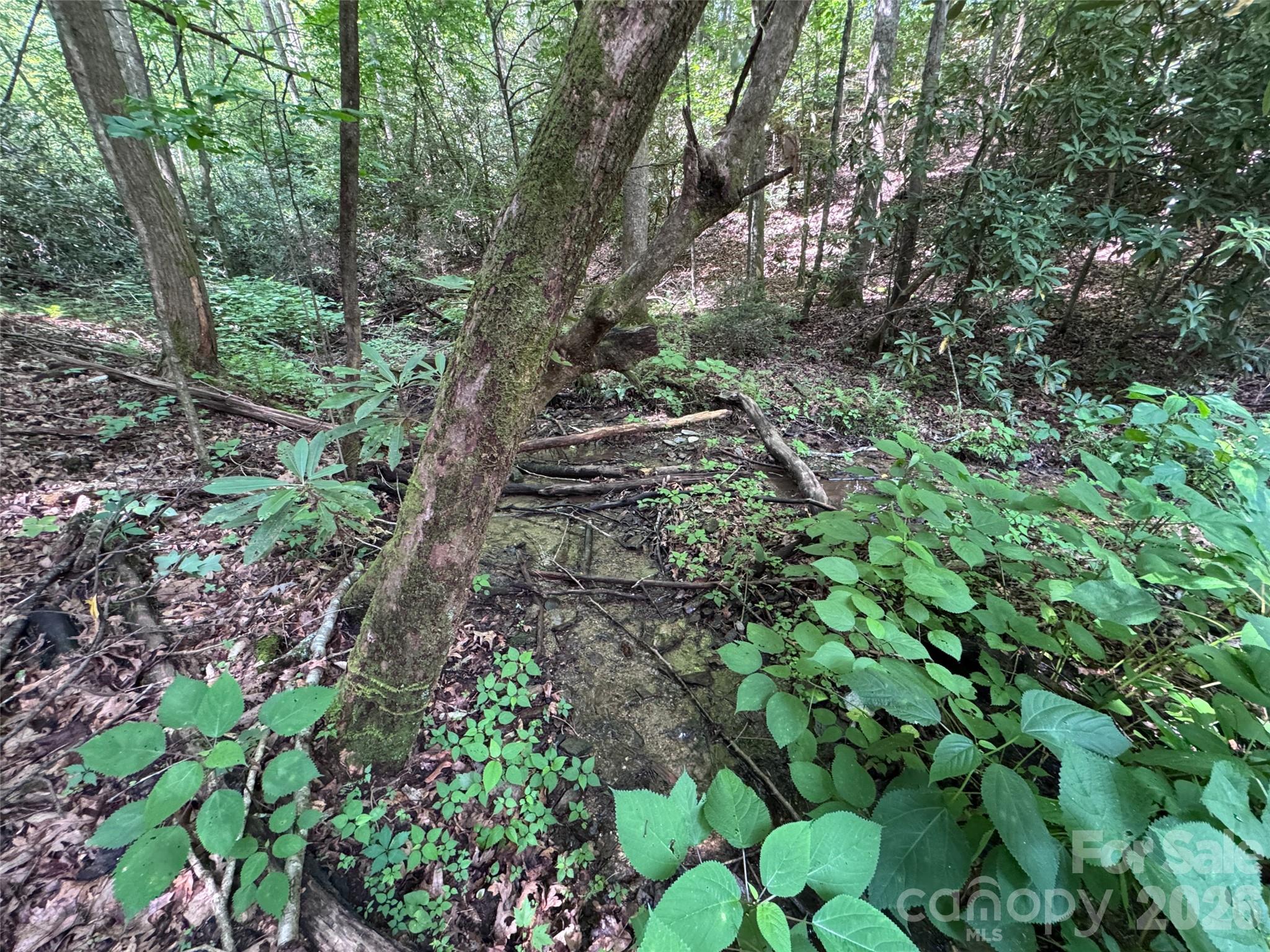 10 A Reserve Road Pisgah Forest, NC 28768 - Photo 16 of 33