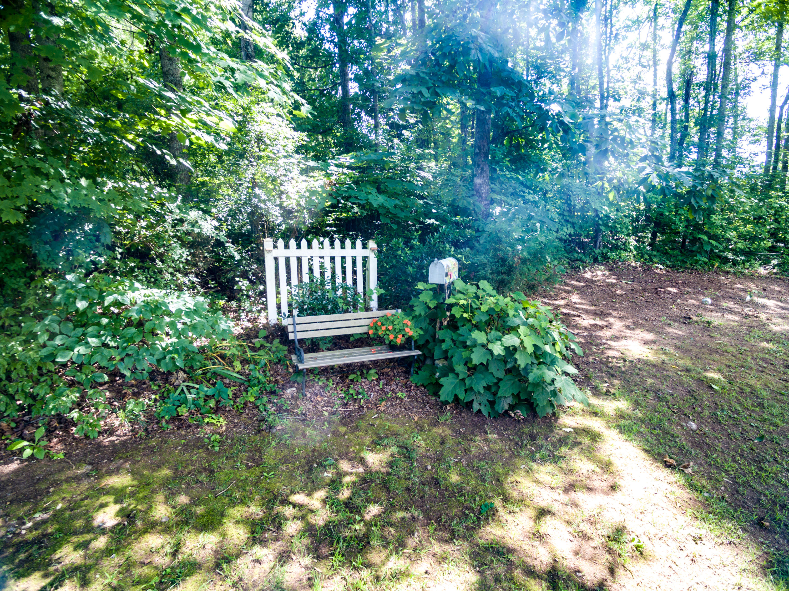 314 Chestnut Ridge Road Kingston, TN 37763 - Photo 26 of 31 Some of the Fav Spots