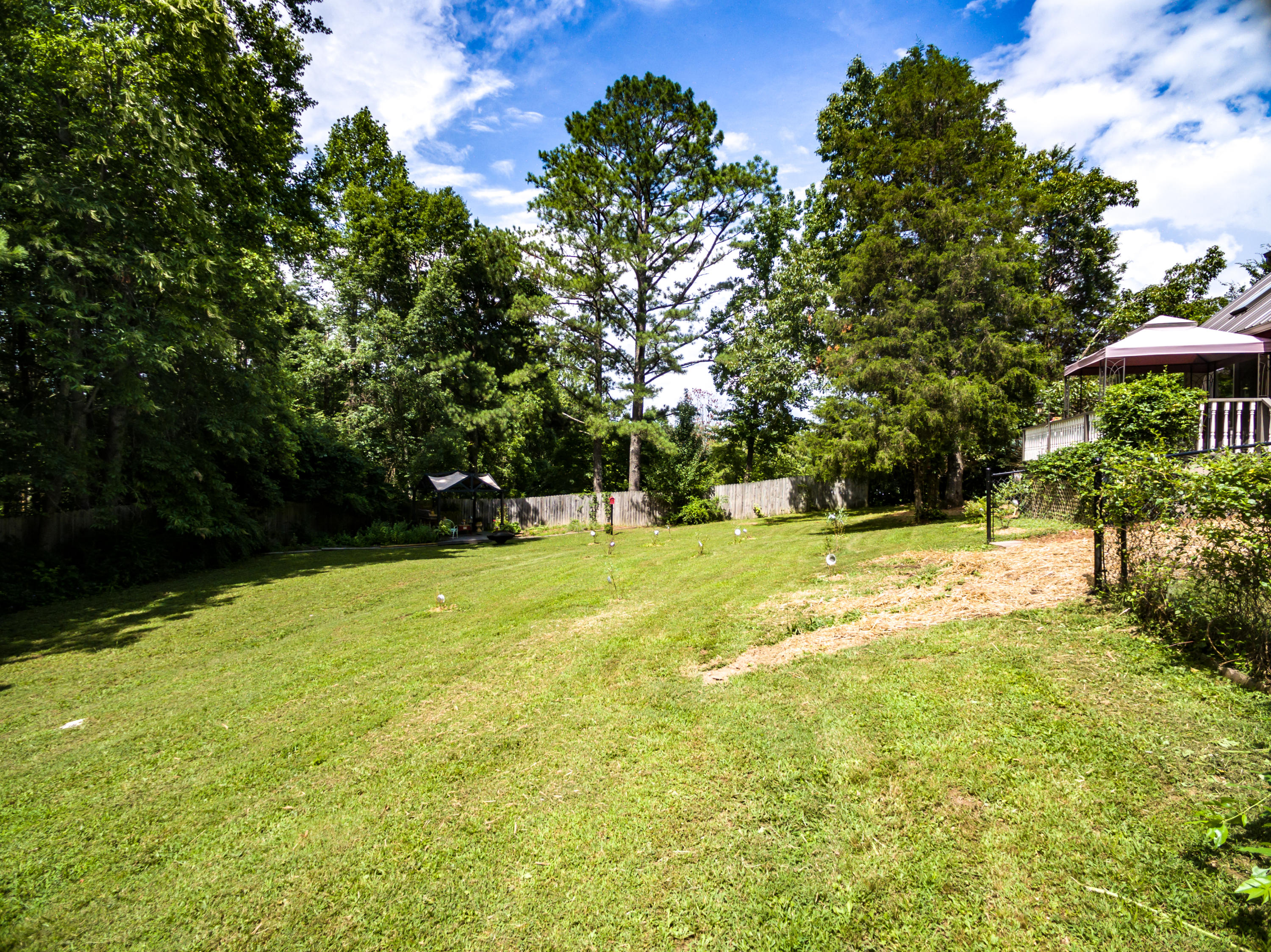 314 Chestnut Ridge Road Kingston, TN 37763 - Photo 29 of 31 Yard