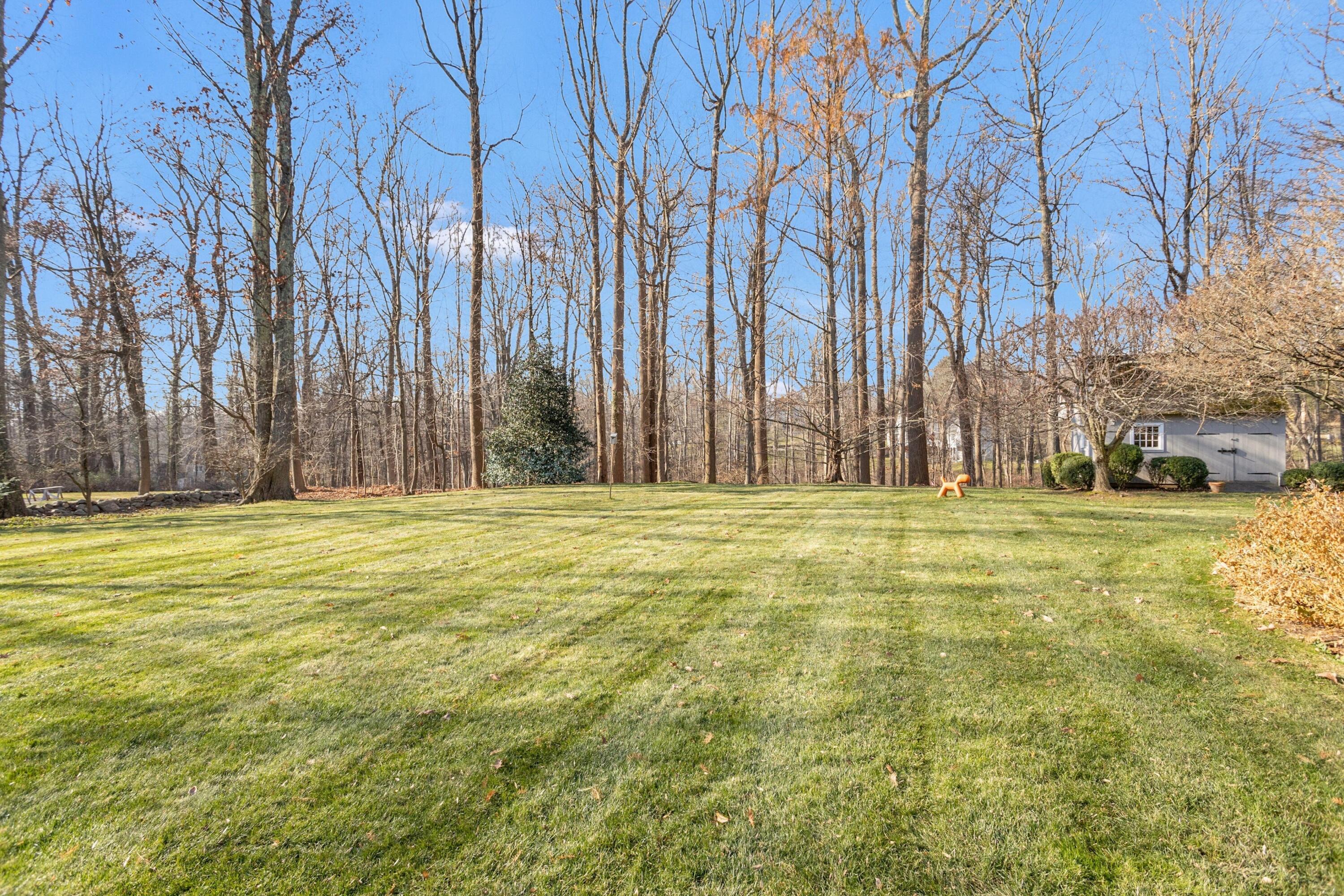 244 Ponus Ridge Road New Canaan, CT 06840 - Photo 27 of 33 014-454935-_X0A6380_12981161
