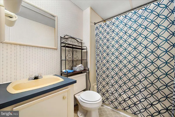 a bathroom with a sink and a toilet