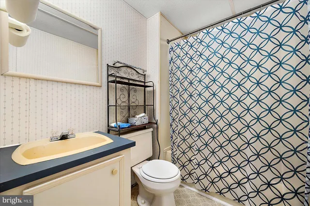 a bathroom with a sink and a toilet