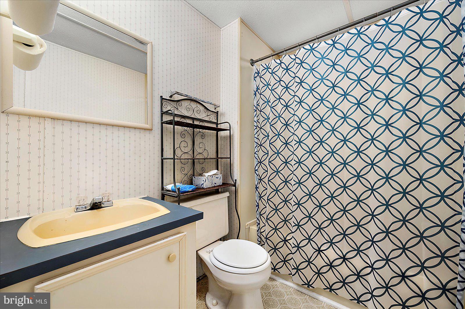 729 Snow Hill Road Stockton, MD 21864 - Photo 21 of 46 a bathroom with a sink and a toilet