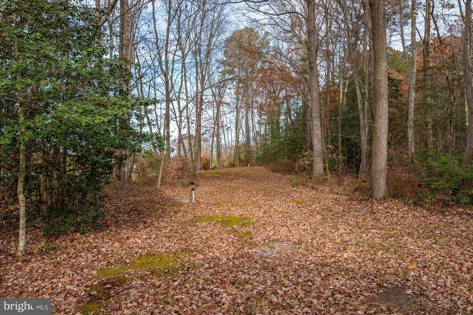 729 Snow Hill Road Stockton, MD 21864 - Photo 29 of 46 a backyard of a house with lots of green space
