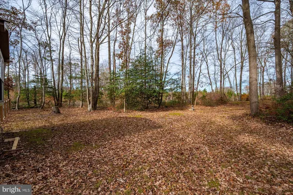 a view of a yard with trees