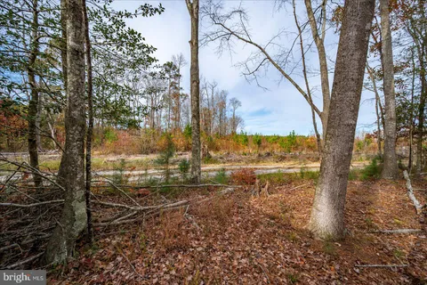 a view of a yard with wooden fence