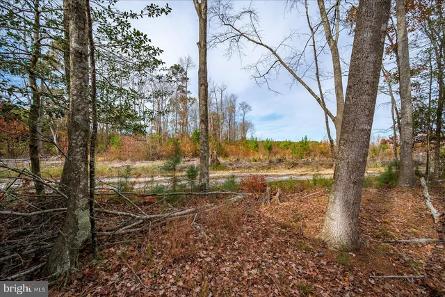 a view of a yard with wooden fence