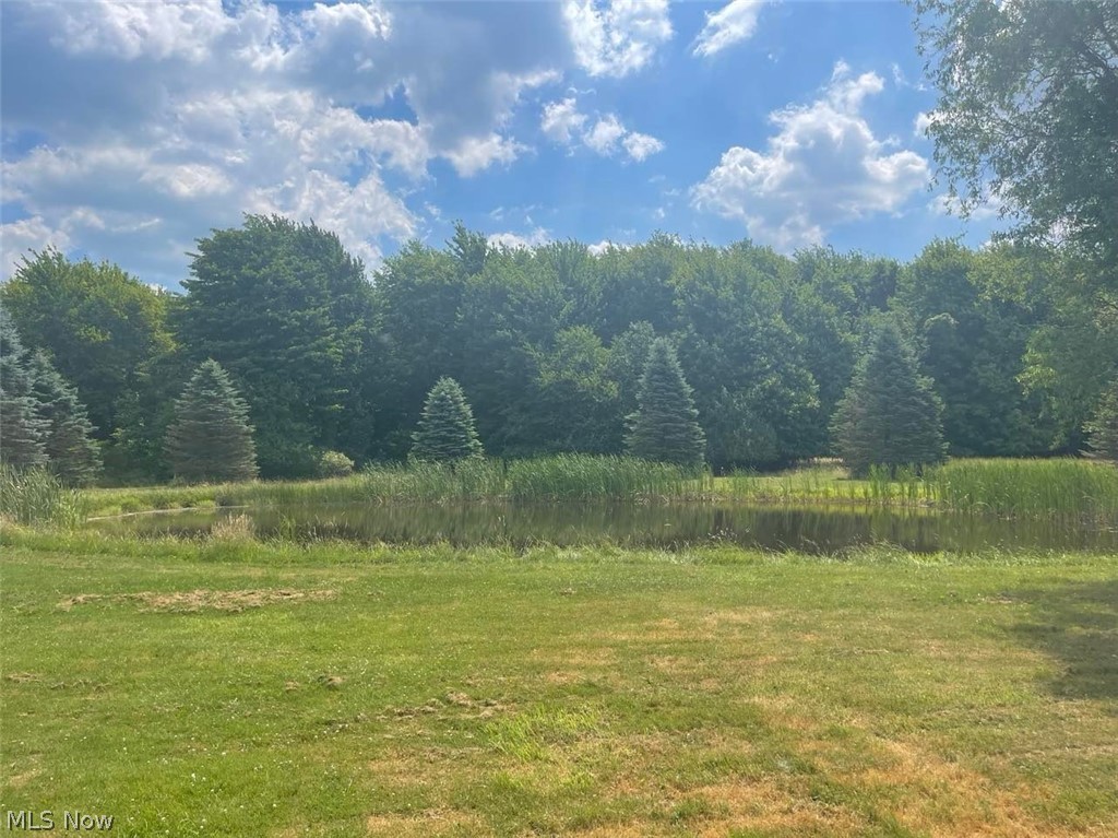 6870 Reeves Road Conneaut, OH 44030 - Photo 10 of 23