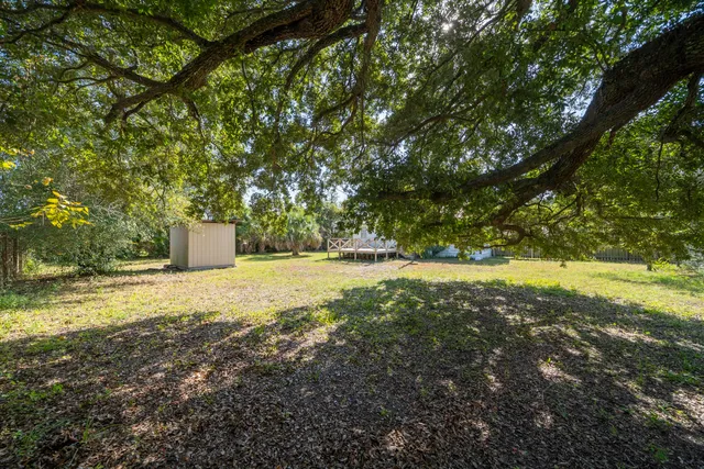 a view of yard with large trees