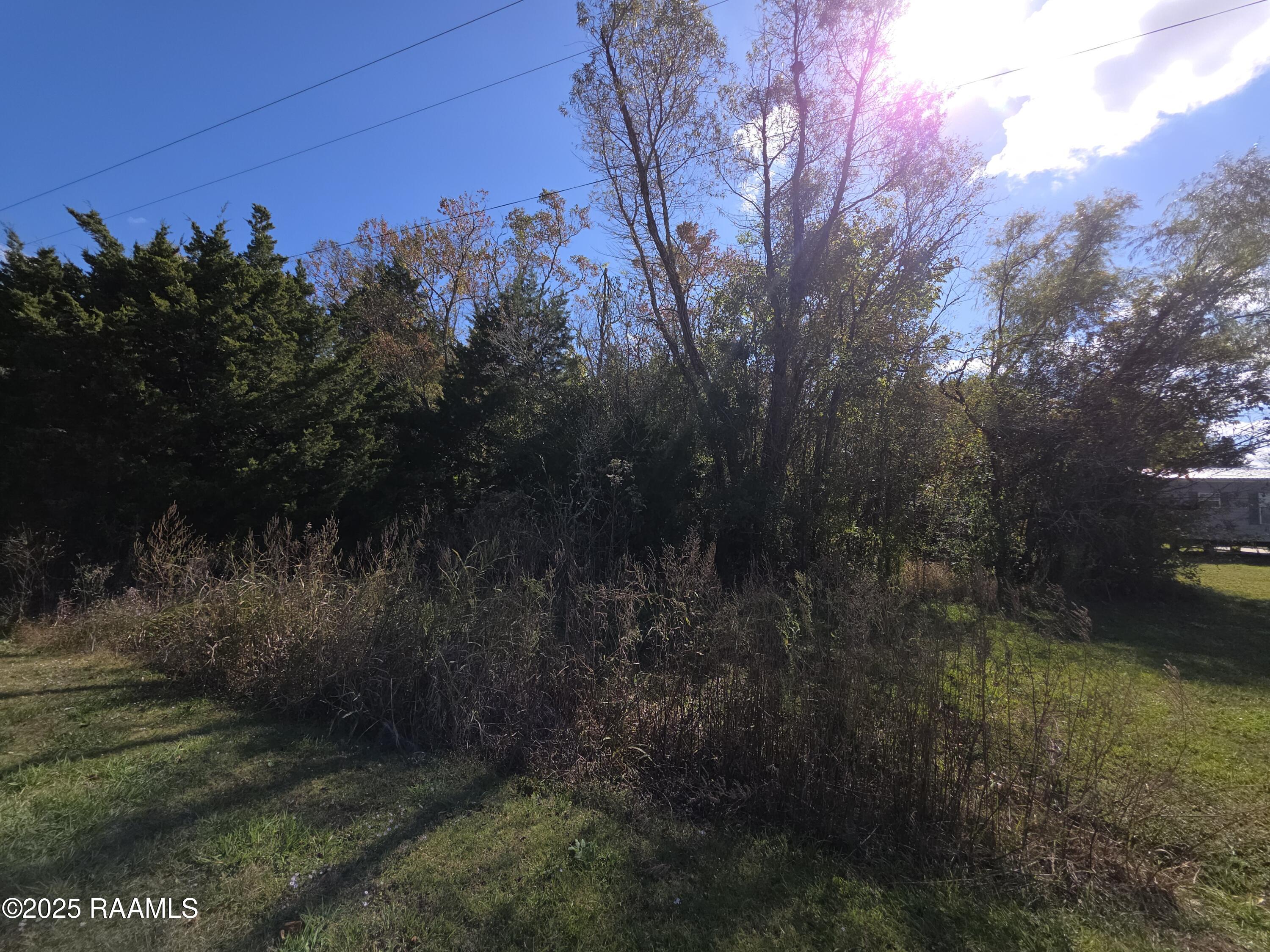 0 Redbud Road Arnaudville, LA 70512 - Photo 2 of 5 20251112_111619