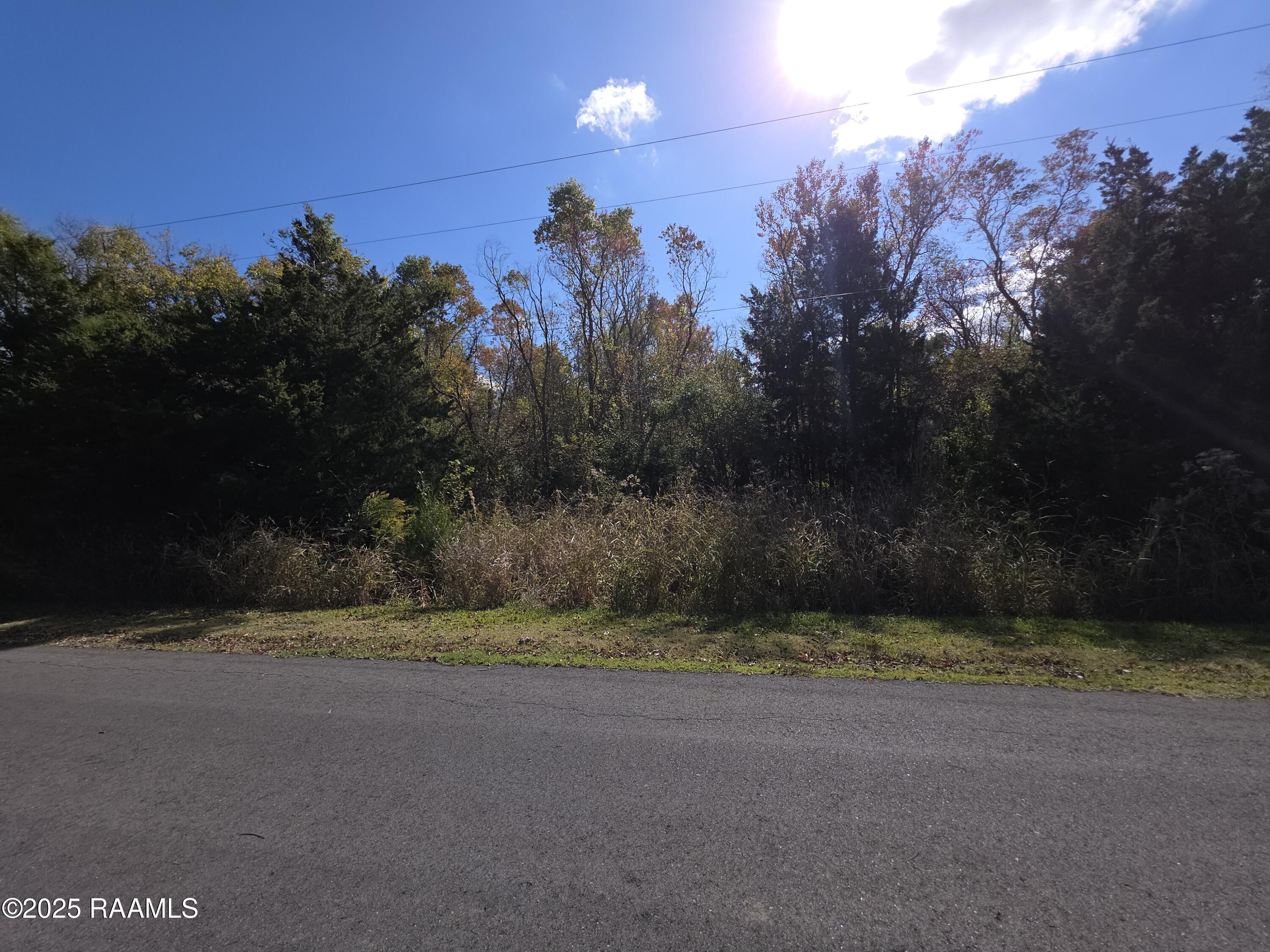 0 Redbud Road Arnaudville, LA 70512 - Photo 4 of 5 20251112_111644