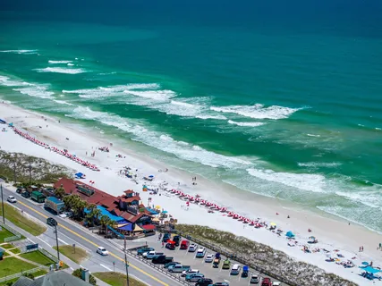 a view of a bunch with flowers