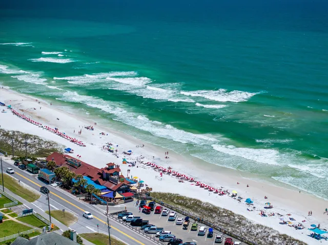 a view of a bunch with flowers
