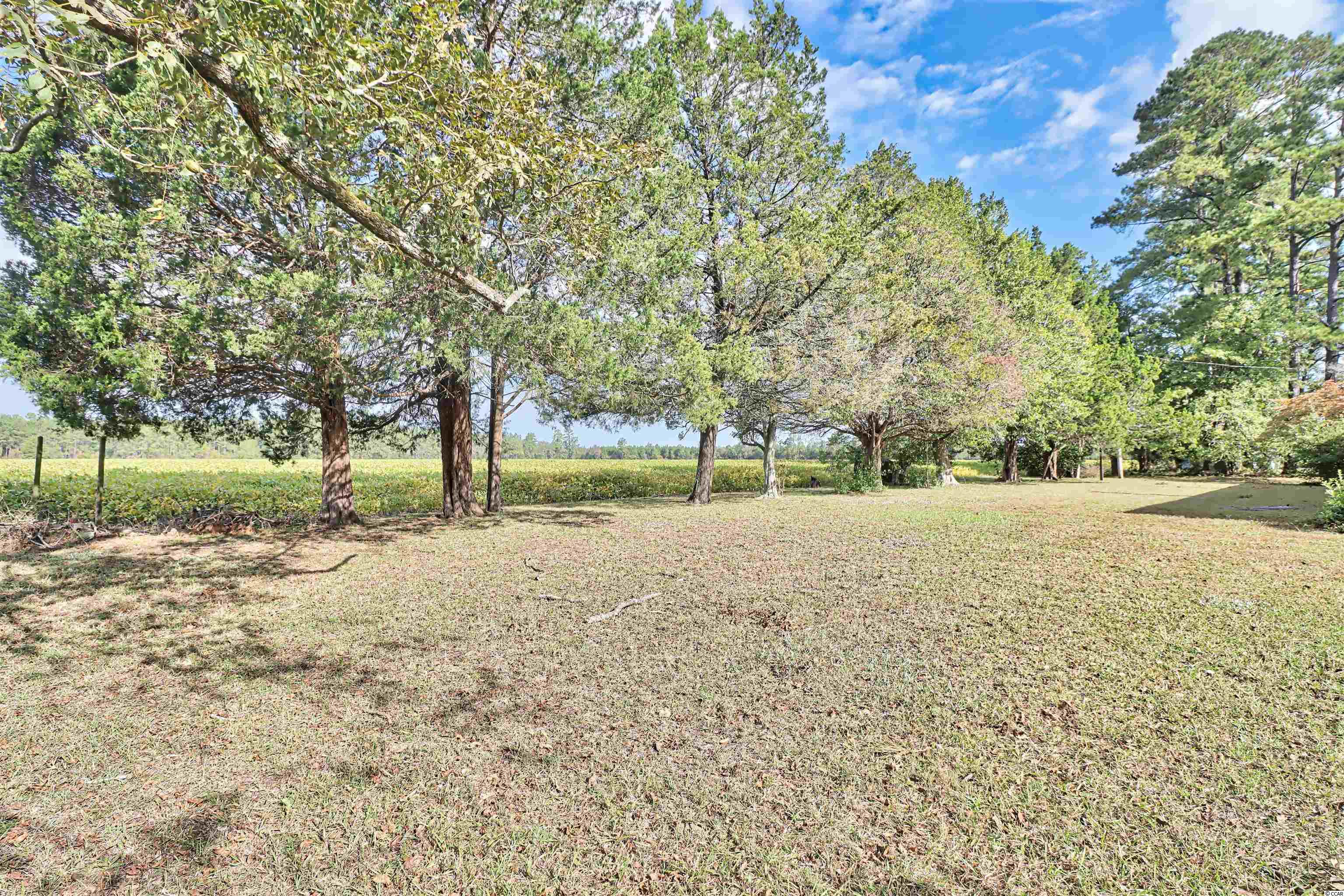824 Tram Road Loris, SC 29569 - Photo 33 of 39 Gallery Image 33