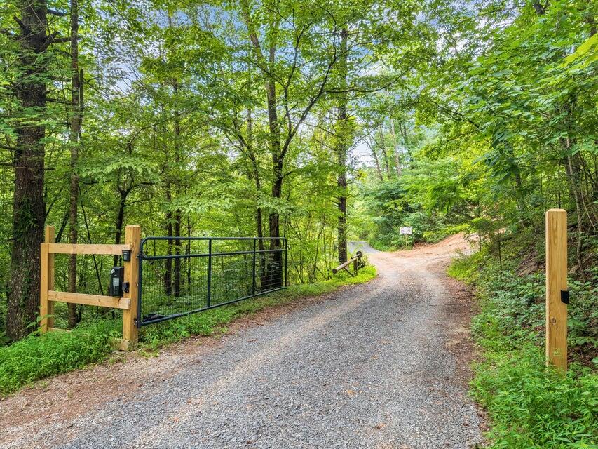 118 Price Road Reliance, TN 37369 - Photo 8 of 38 20250714235551739695000000-o