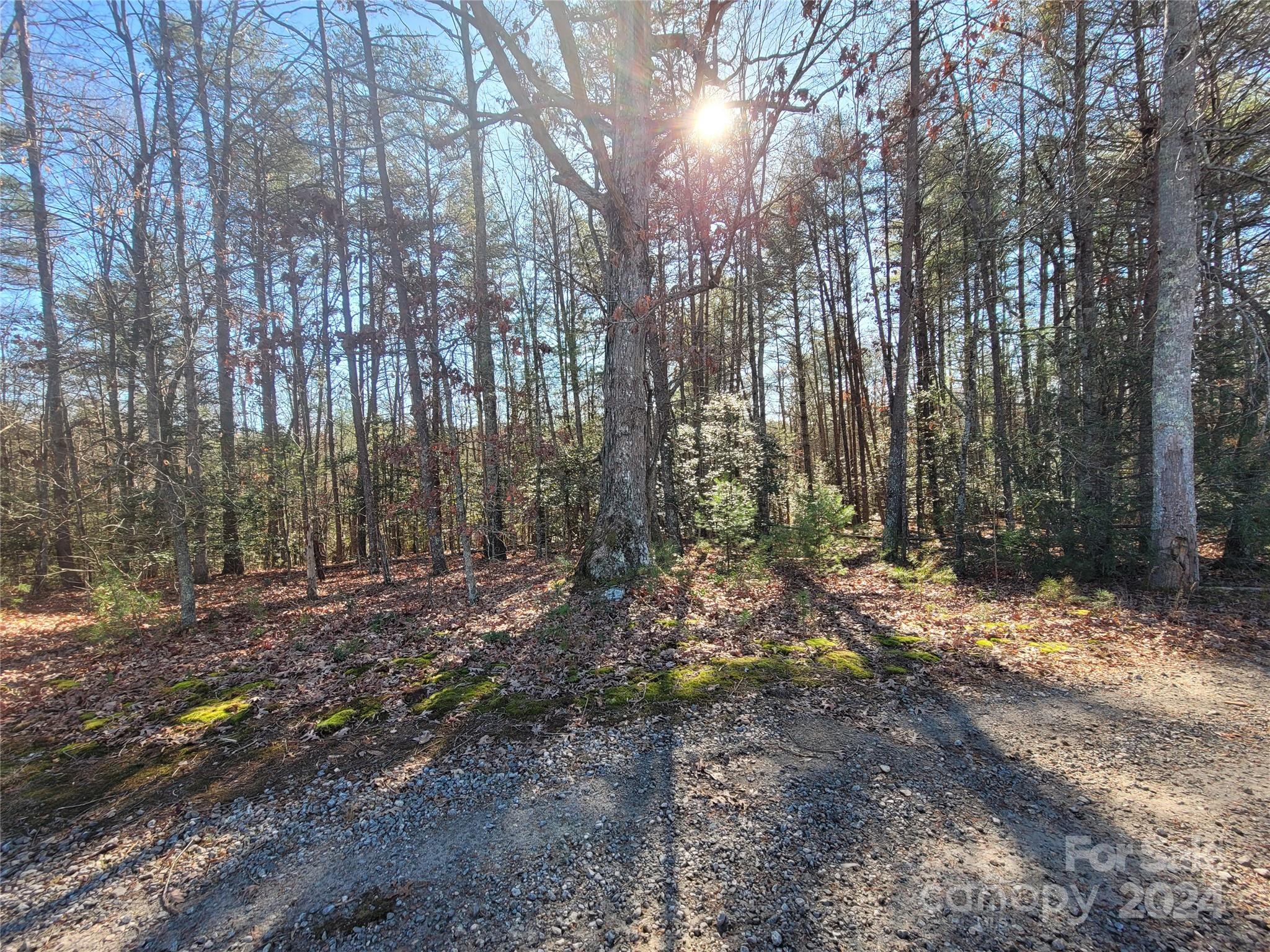 0 Ronnie Fox Road Morganton, NC 28655 - Photo 3 of 4 Gallery Image 3
