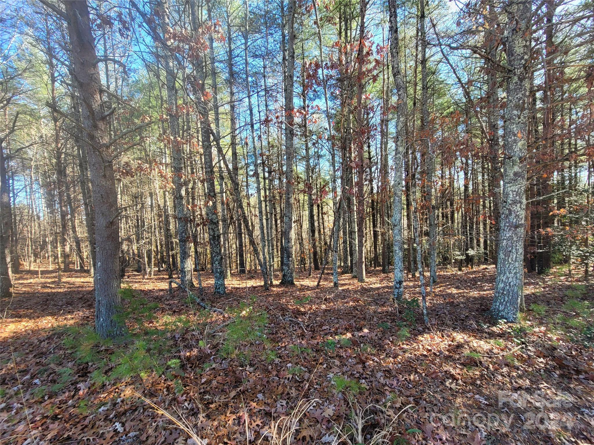 0 Ronnie Fox Road Morganton, NC 28655 - Photo 4 of 4 Gallery Image 4