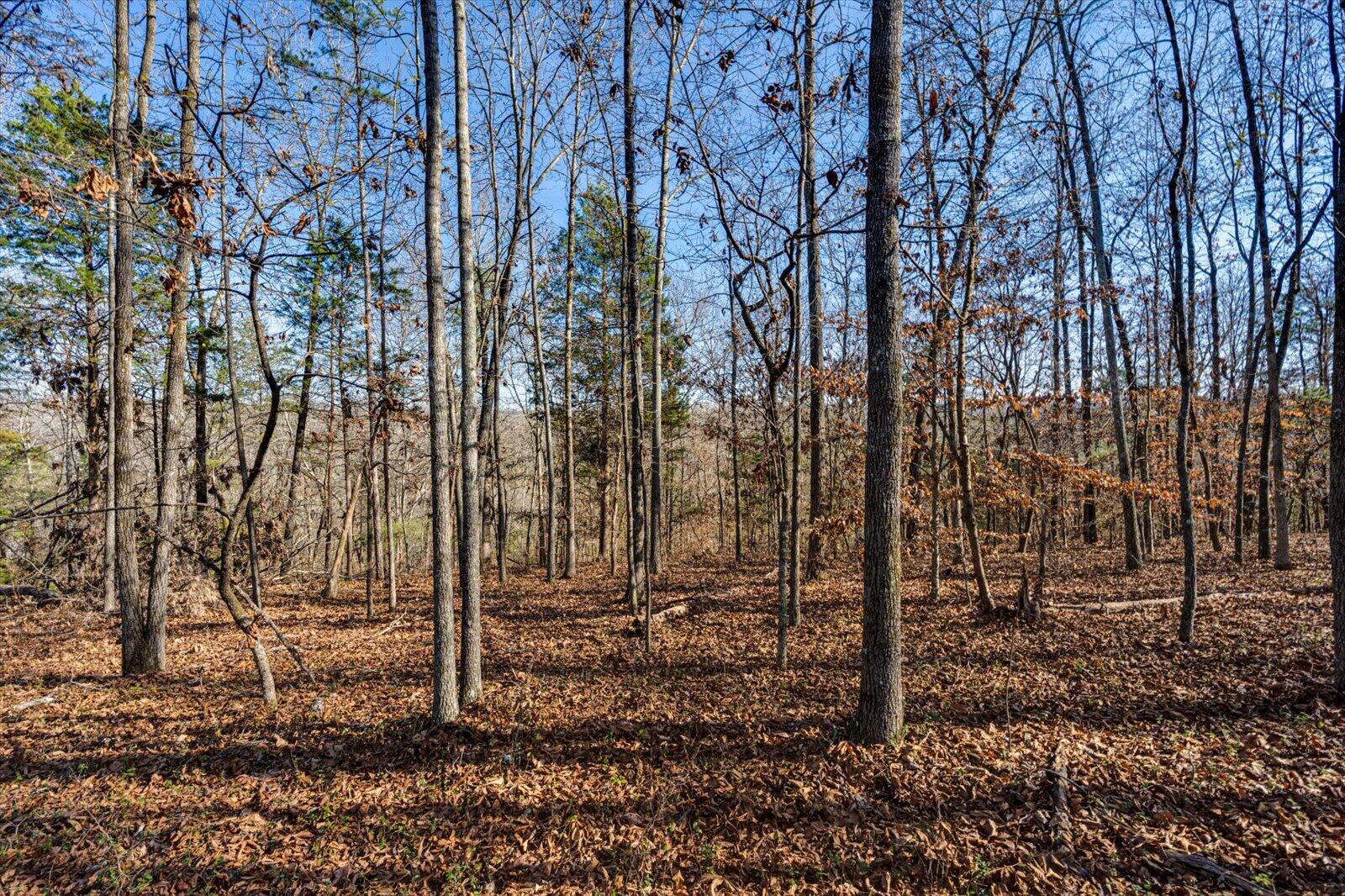 04-5831 Hunter Rd-4