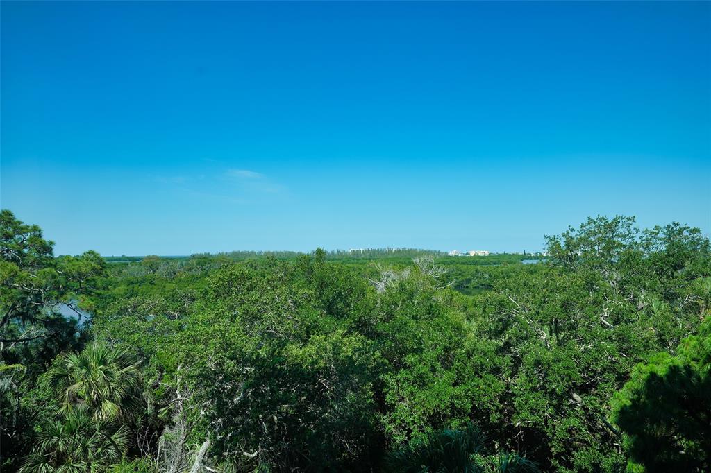 409 North Point Road, Unit 501 Osprey, FL 34229 - Photo 19 of 90