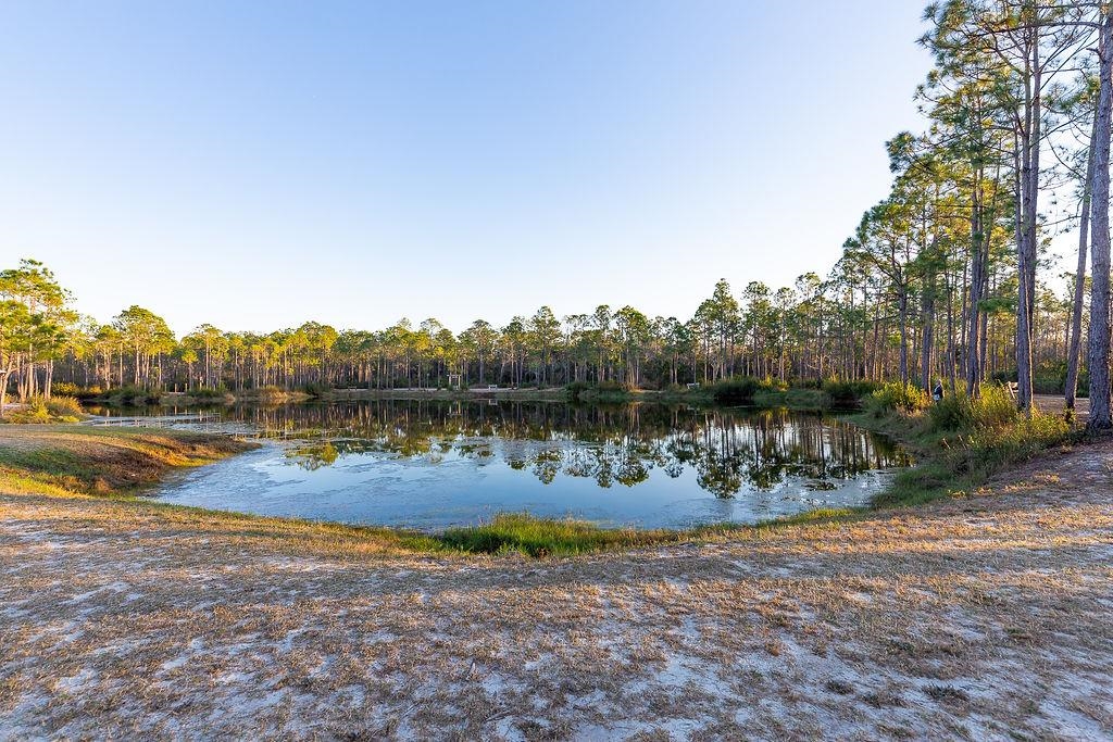 4204 Lauder Lane Orange Beach, AL 36561 - Photo 37 of 47