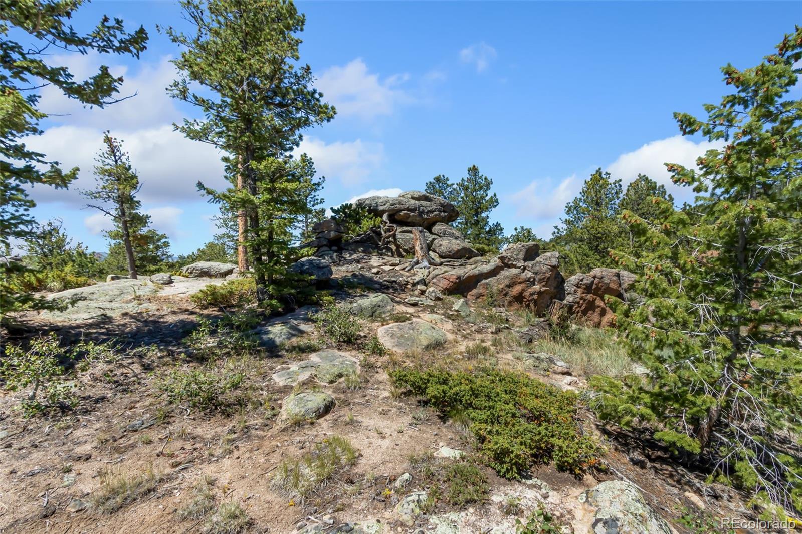 11 Inca Court Red Feather Lakes, CO 80545 - Photo 11 of 36