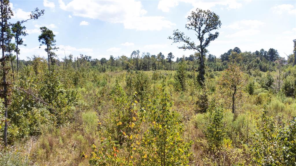 0 Fm 850 Arp, TX 75750 - Photo 11 of 14 View of wooded area