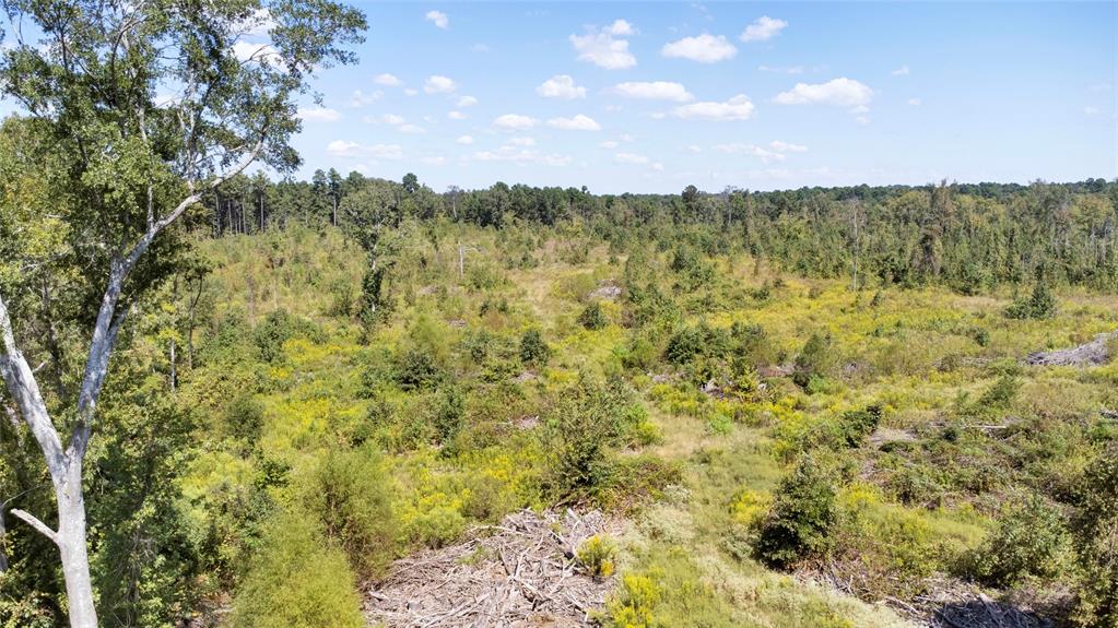 0 Fm 850 Arp, TX 75750 - Photo 12 of 14 View of woods