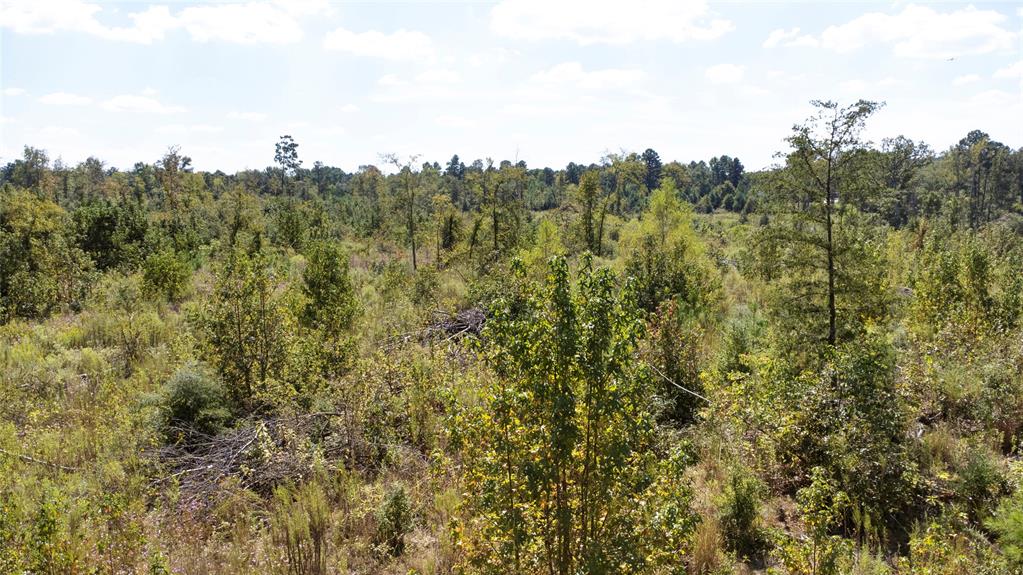 0 Fm 850 Arp, TX 75750 - Photo 6 of 14 View of woods