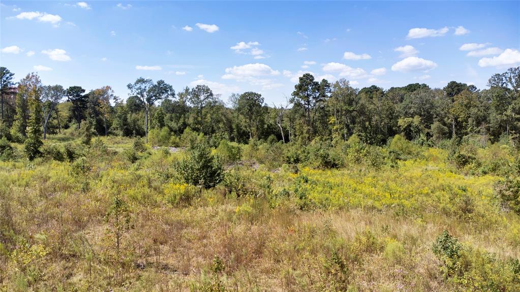 0 Fm 850 Arp, TX 75750 - Photo 7 of 14 View of tree filled area