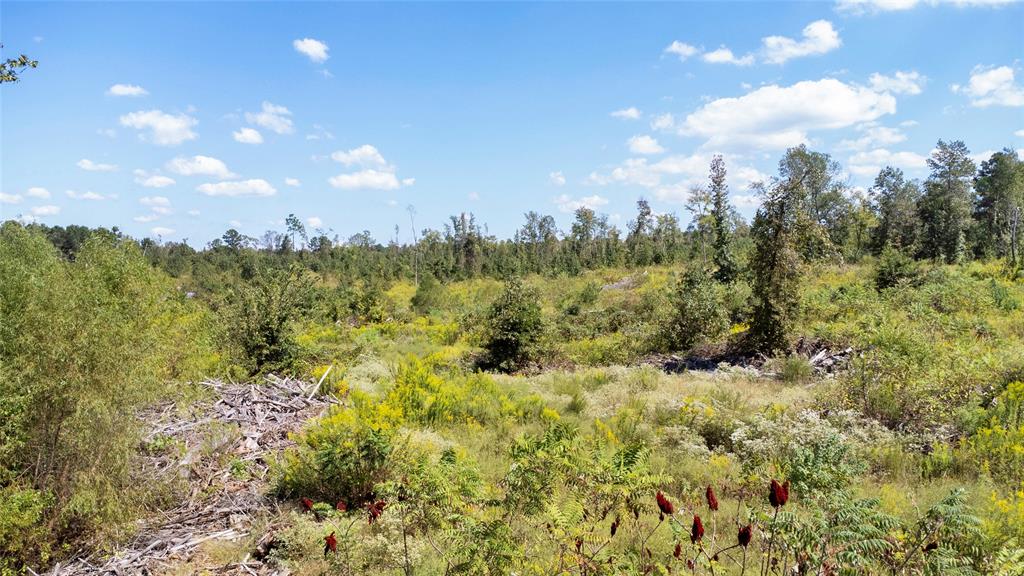 0 Fm 850 Arp, TX 75750 - Photo 8 of 14 View of wooded area