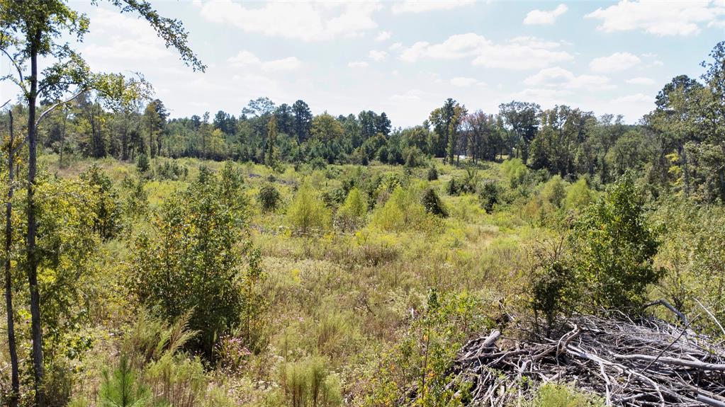 0 Fm 850 Arp, TX 75750 - Photo 9 of 14 View of wooded area