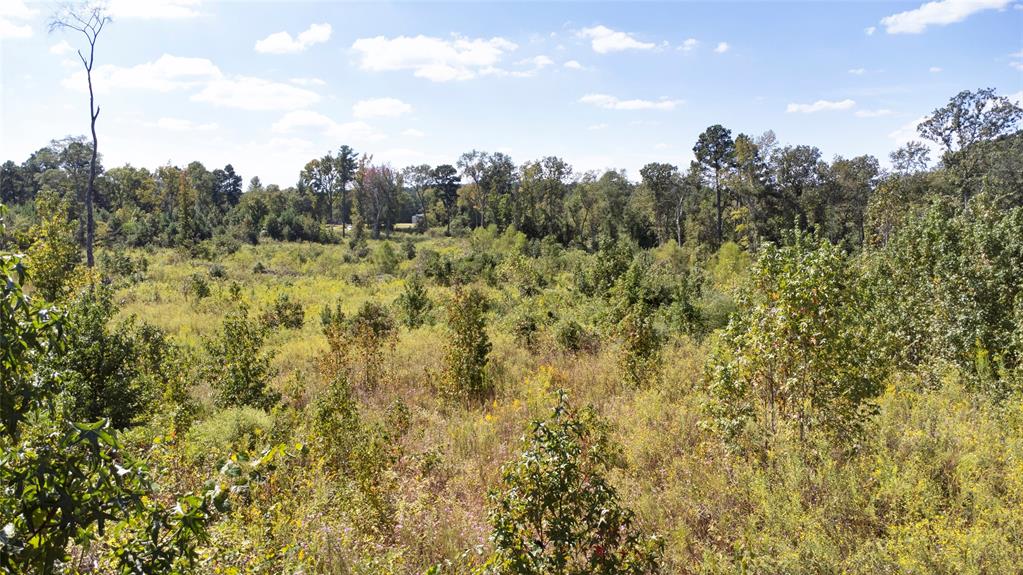 0 Fm 850 Arp, TX 75750 - Photo 10 of 14 View of tree filled area