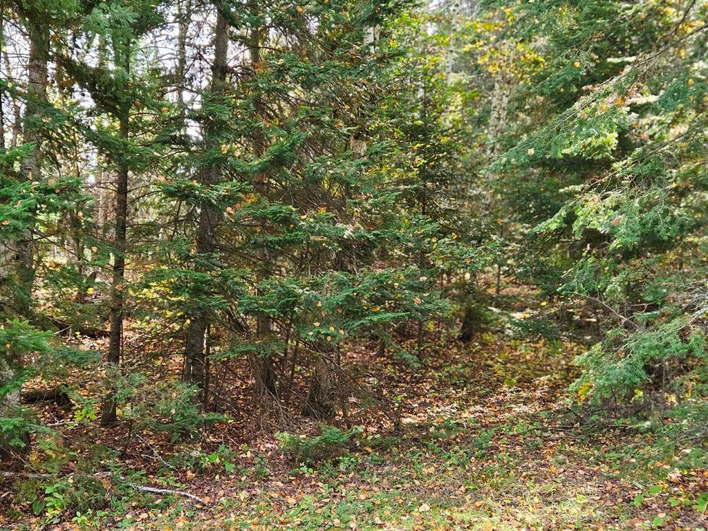 1 County Road Deer River, MN 56636 - Photo 11 of 18