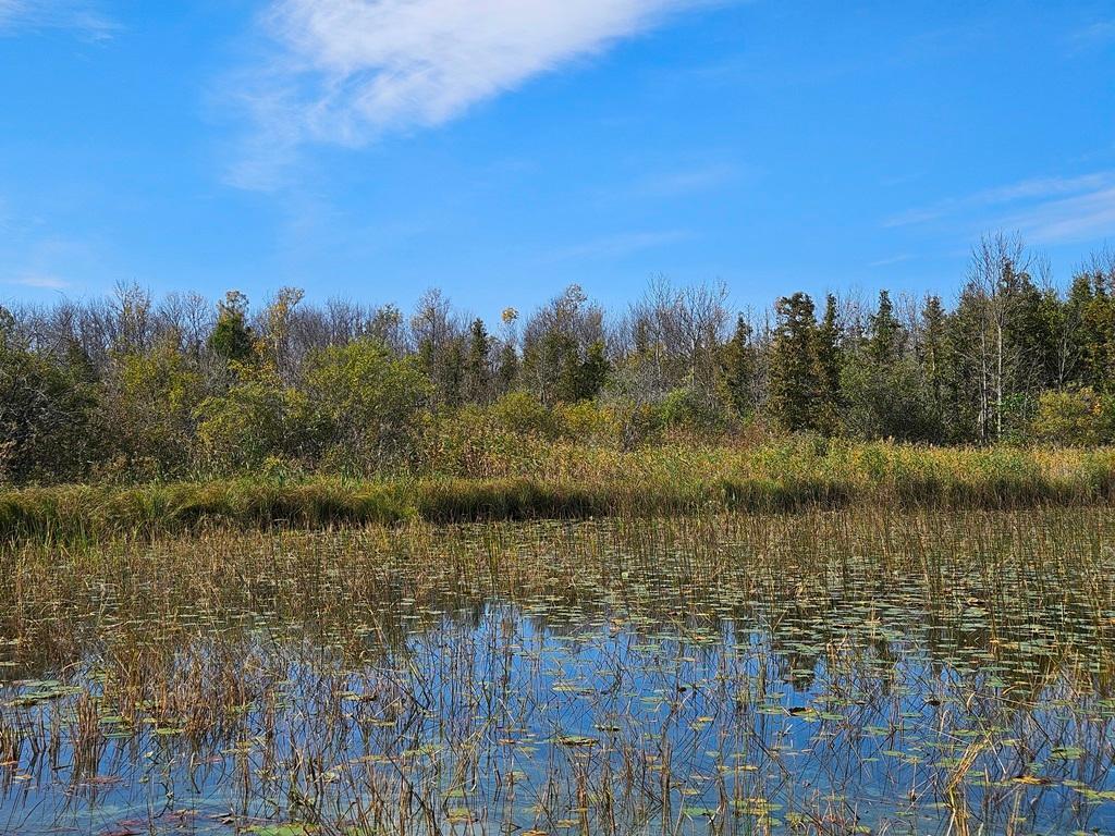 1 County Road Deer River, MN 56636 - Photo 17 of 18