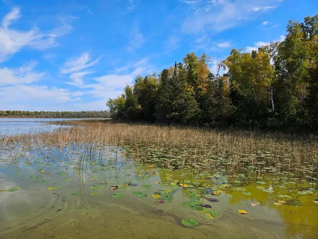 $175,000 | 1 County Road, Deer River, MN 56636